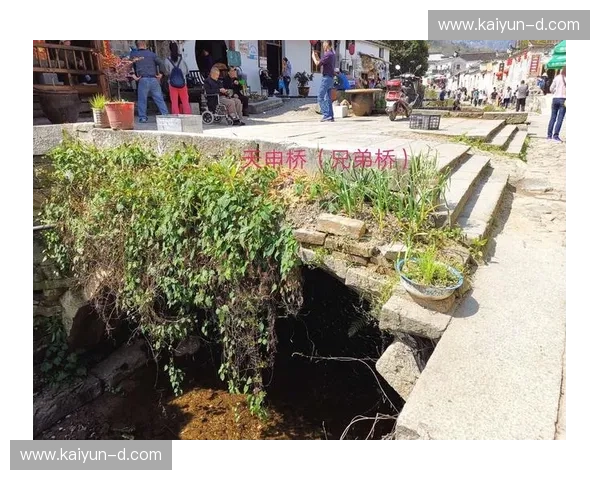 柔道排名：从积分到荣耀的逐梦之路